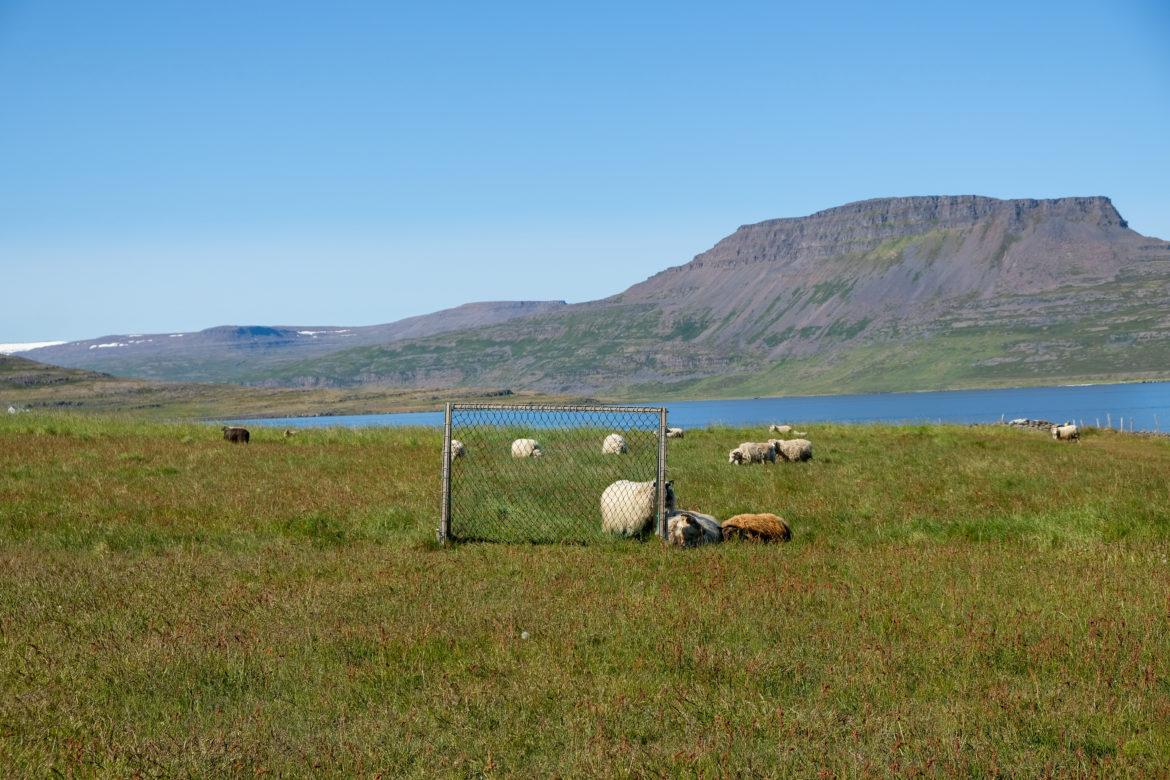 MATCH RETOUR EN ISLANDE